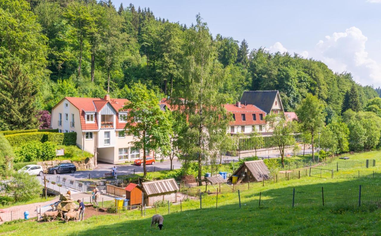 Hotel Waldmuehle Zella-Mehlis Zewnętrze zdjęcie